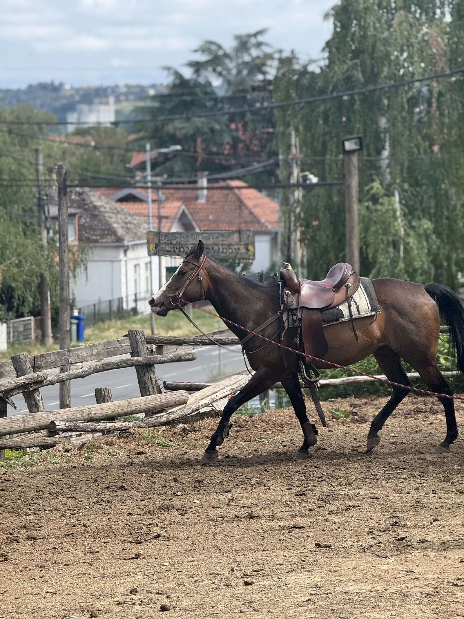 Konjčki klub Beograd